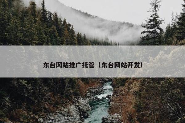 东台网站推广托管（东台网站开发）
