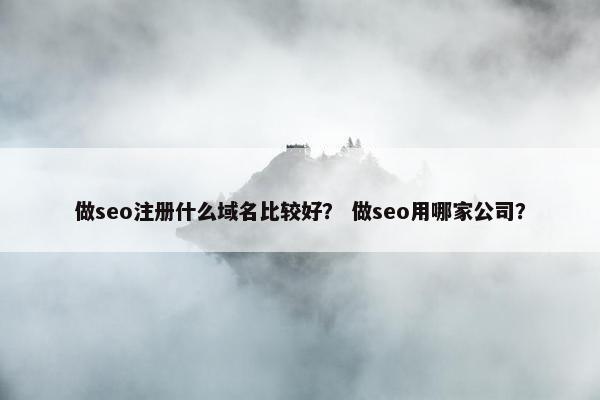 做seo注册什么域名比较好？ 做seo用哪家公司？