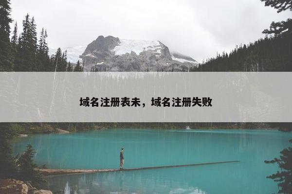 域名注册表未，域名注册失败