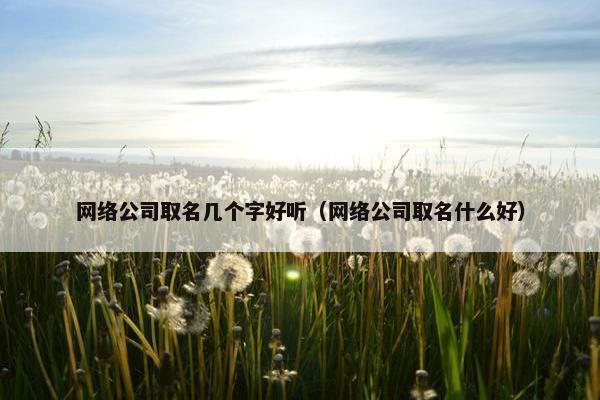 网络公司取名几个字好听（网络公司取名什么好）