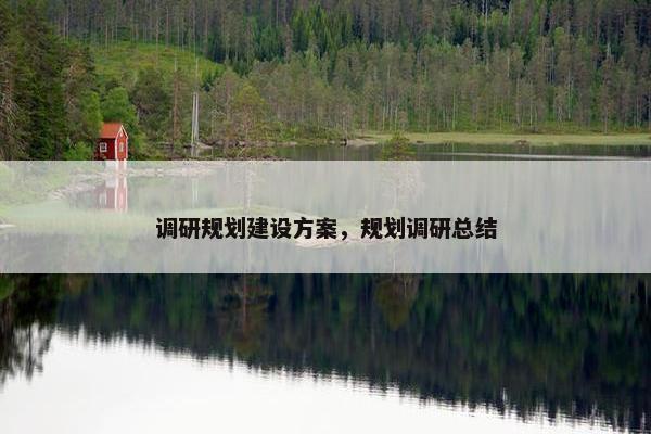 调研规划建设方案，规划调研总结
