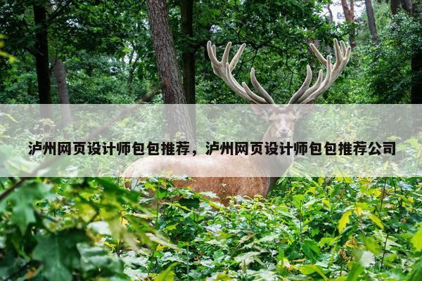 泸州网页设计师包包推荐，泸州网页设计师包包推荐公司