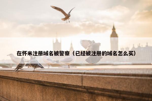 在怀米注册域名被警察（已经被注册的域名怎么买）