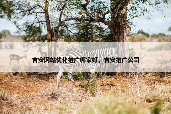 吉安网站优化推广哪家好，吉安推广公司