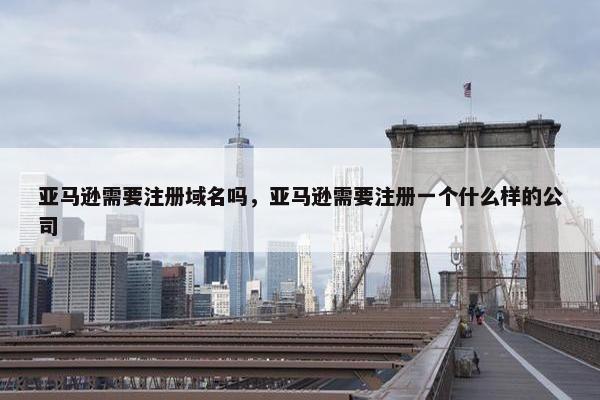 亚马逊需要注册域名吗，亚马逊需要注册一个什么样的公司