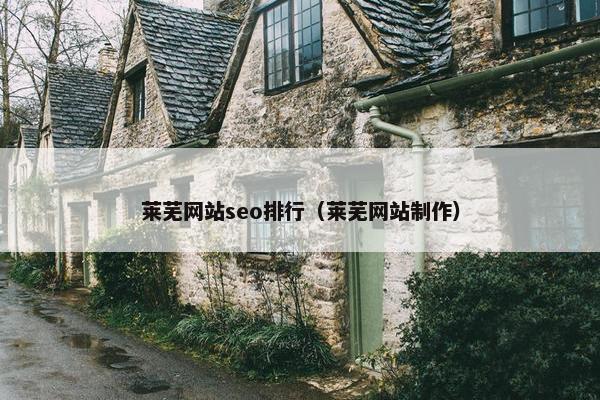 莱芜网站seo排行（莱芜网站制作）