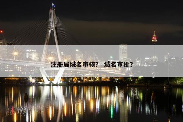 注册局域名审核？ 域名审批？