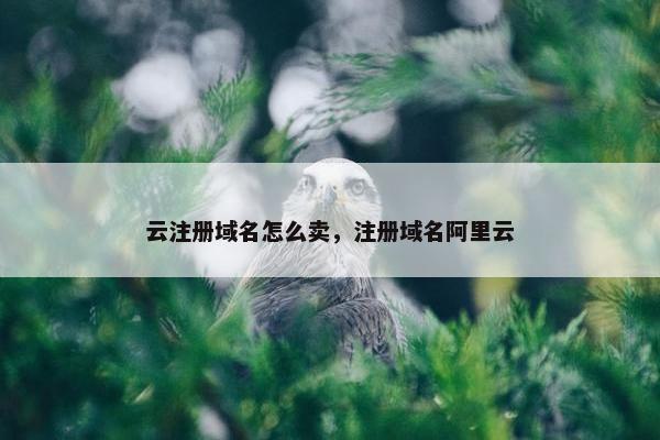 云注册域名怎么卖，注册域名阿里云