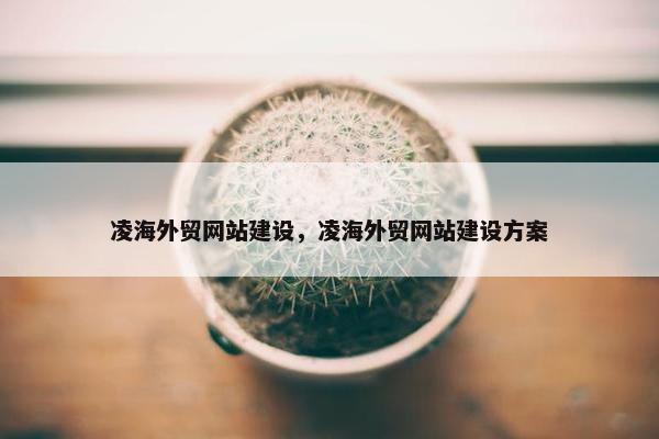 凌海外贸网站建设，凌海外贸网站建设方案