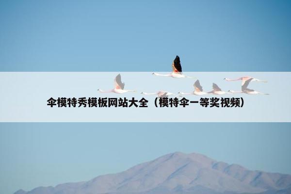 伞模特秀模板网站大全（模特伞一等奖视频）