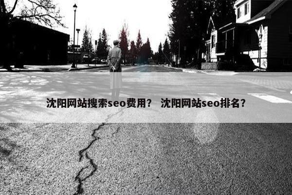 沈阳网站搜索seo费用？ 沈阳网站seo排名？