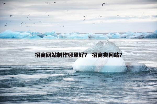 招商网站制作哪里好？ 招商类网站？