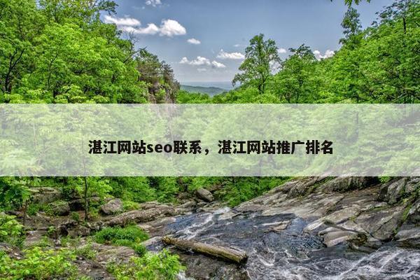 湛江网站seo联系，湛江网站推广排名