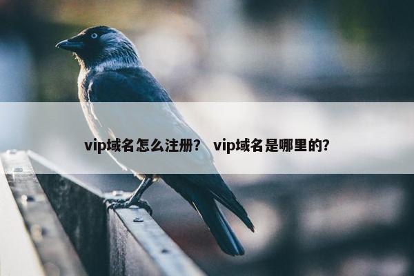 vip域名怎么注册？ vip域名是哪里的？