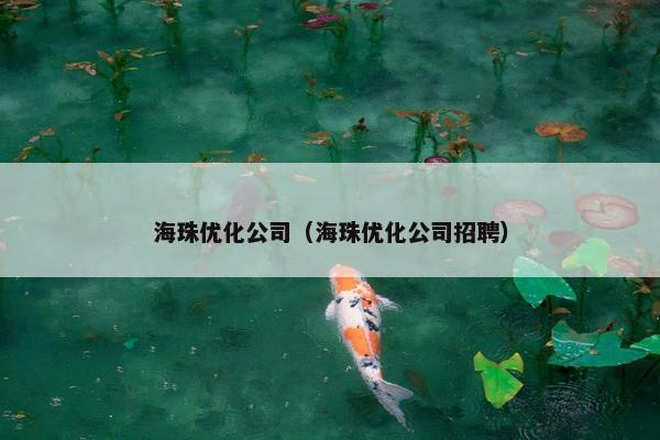 海珠优化公司（海珠优化公司招聘）