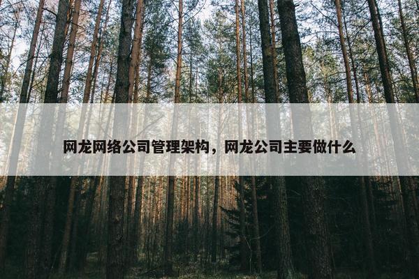 网龙网络公司管理架构，网龙公司主要做什么