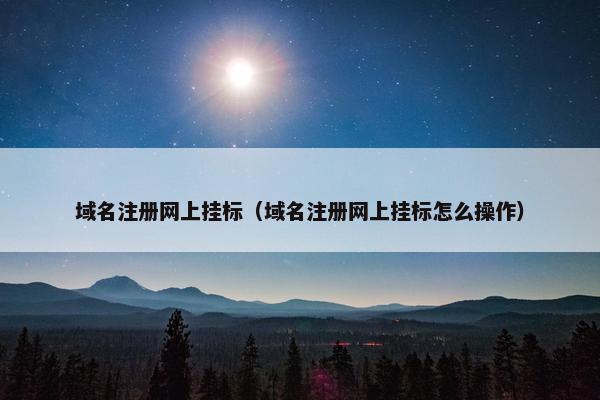 域名注册网上挂标（域名注册网上挂标怎么操作）