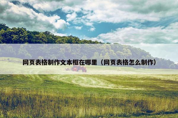 网页表格制作文本框在哪里（网页表格怎么制作）