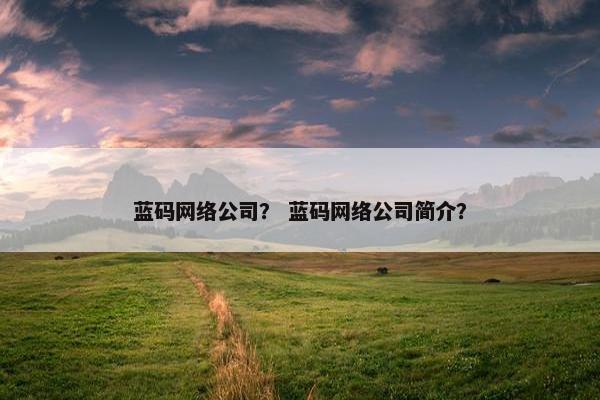 蓝码网络公司？ 蓝码网络公司简介？