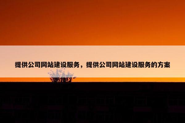 提供公司网站建设服务，提供公司网站建设服务的方案