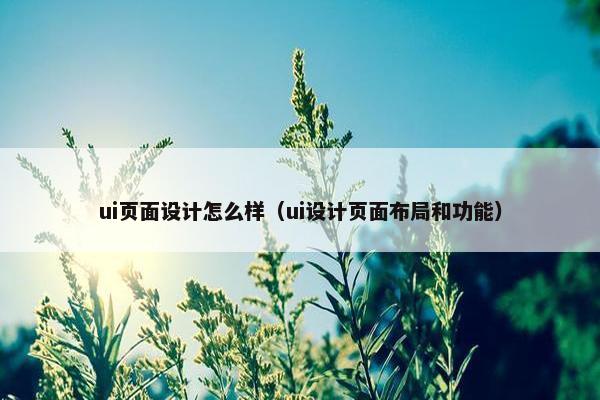 ui页面设计怎么样（ui设计页面布局和功能）