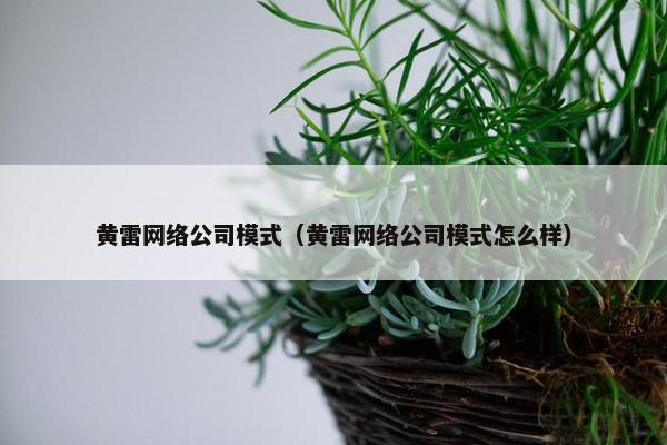 黄雷网络公司模式（黄雷网络公司模式怎么样）