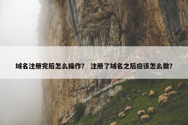 域名注册完后怎么操作？ 注册了域名之后应该怎么做？