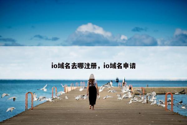 io域名去哪注册，io域名申请