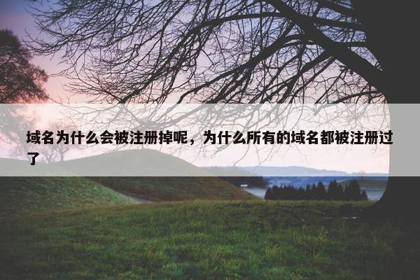 域名为什么会被注册掉呢，为什么所有的域名都被注册过了