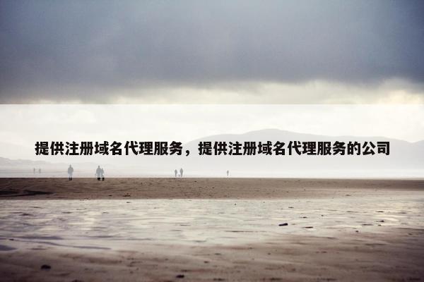 提供注册域名代理服务，提供注册域名代理服务的公司