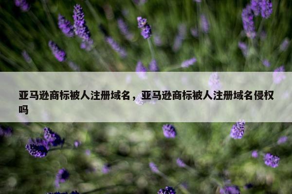 亚马逊商标被人注册域名，亚马逊商标被人注册域名侵权吗