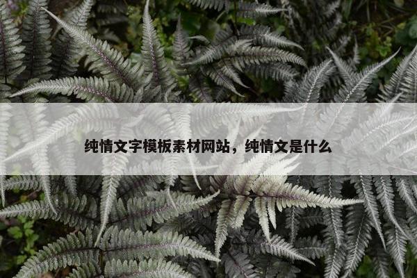 纯情文字模板素材网站，纯情文是什么