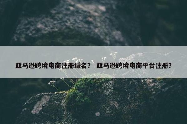 亚马逊跨境电商注册域名？ 亚马逊跨境电商平台注册？