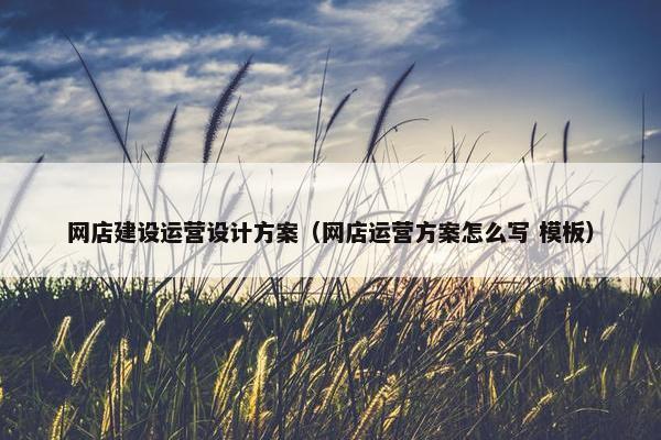 网店建设运营设计方案（网店运营方案怎么写 模板）