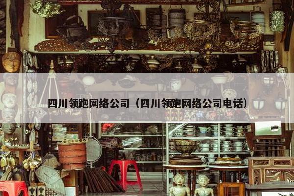 四川领跑网络公司（四川领跑网络公司电话）