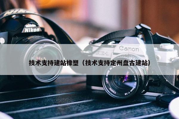 技术支持建站橡塑（技术支持定州盘古建站）