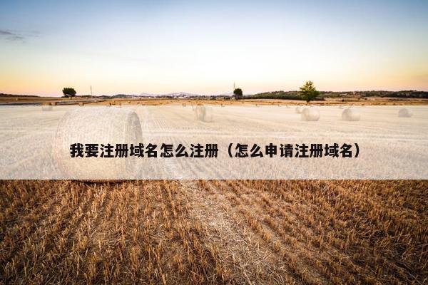 我要注册域名怎么注册（怎么申请注册域名）