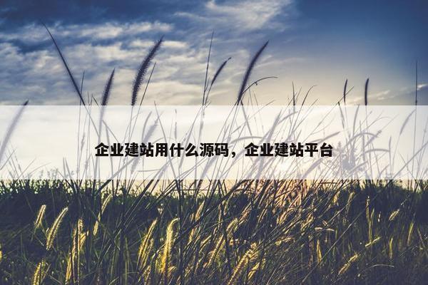 企业建站用什么源码，企业建站平台