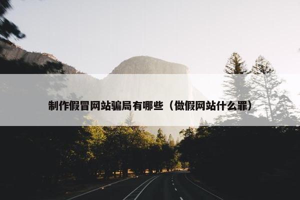 制作假冒网站骗局有哪些（做假网站什么罪）