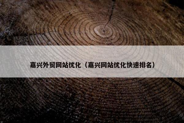 嘉兴外贸网站优化（嘉兴网站优化快速排名）
