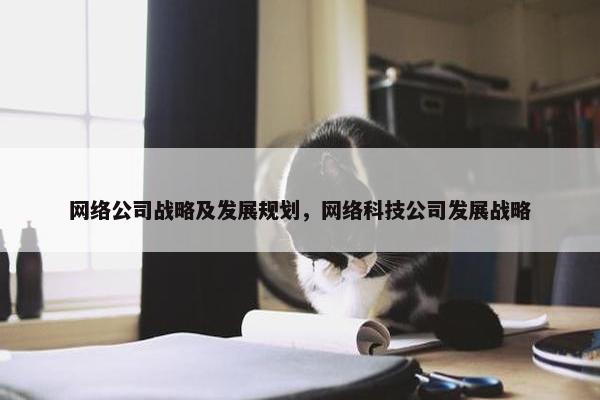 网络公司战略及发展规划，网络科技公司发展战略