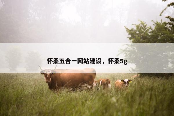 怀柔五合一网站建设，怀柔5g