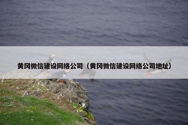 黄冈微信建设网络公司（黄冈微信建设网络公司地址）