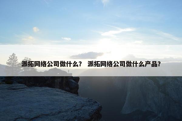 派拓网络公司做什么？ 派拓网络公司做什么产品？