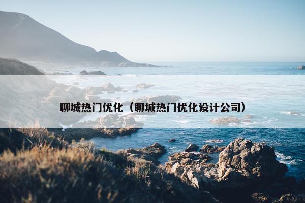 聊城热门优化（聊城热门优化设计公司）