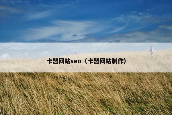 卡盟网站seo（卡盟网站制作）