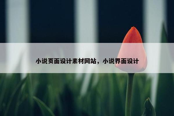 小说页面设计素材网站，小说界面设计