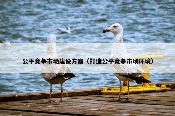 公平竞争市场建设方案（打造公平竞争市场环境）