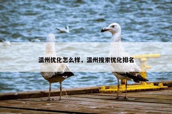 温州优化怎么样，温州搜索优化排名