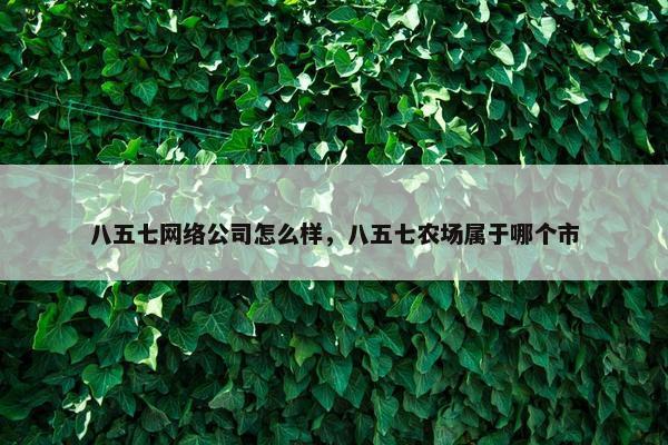 八五七网络公司怎么样，八五七农场属于哪个市